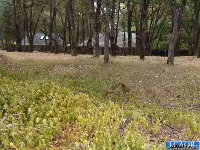 7911 Soda Bay Rd, Kelseyville, CA 95451 - photo 7
