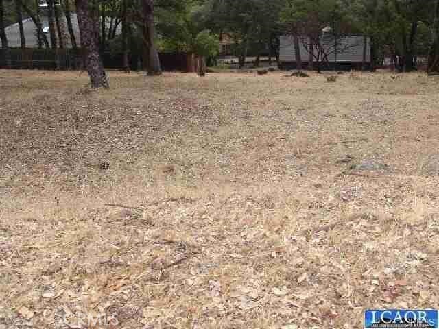 7911 Soda Bay Rd, Kelseyville, CA 95451 - photo 4