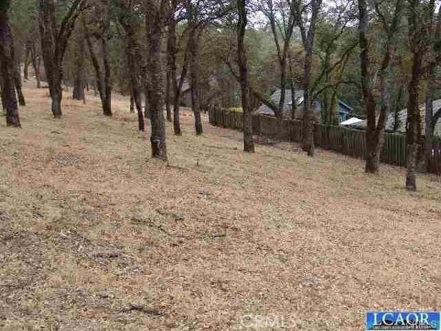 7911 Soda Bay Rd, Kelseyville, CA 95451 - photo 6