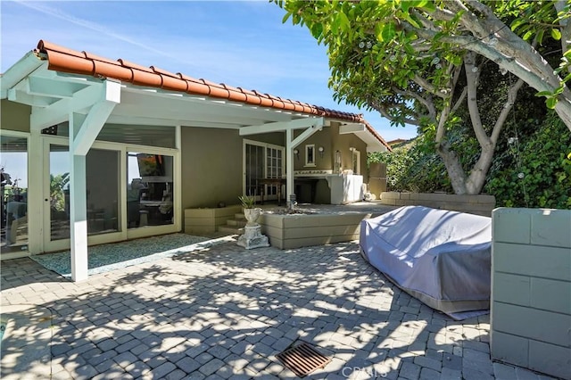 view of patio / terrace featuring exterior kitchen