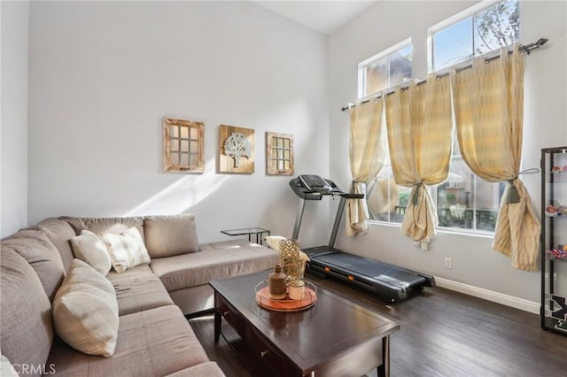 living room with dark hardwood / wood-style flooring