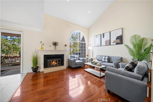 living room featuring high vaulted ceiling, baseboards, a premium fireplace, and wood finished floors