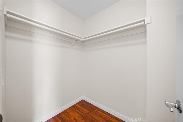 spacious closet featuring dark wood-style floors