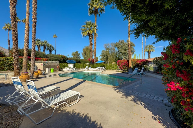 view of swimming pool with a patio