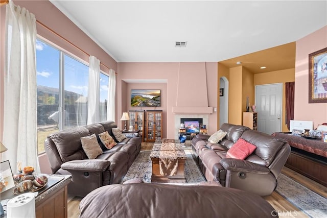 living room featuring light wood-type flooring and a fireplace