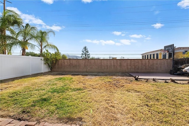 view of yard featuring a patio