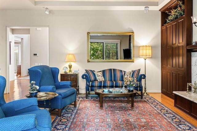 living room featuring light hardwood / wood-style floors