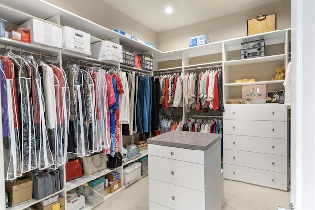 view of spacious closet