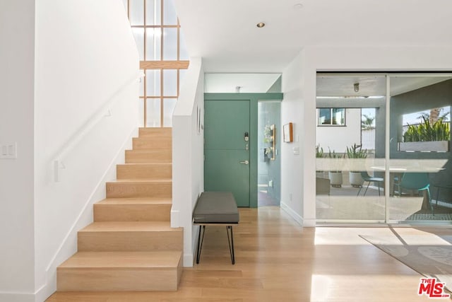 entrance foyer with hardwood / wood-style flooring