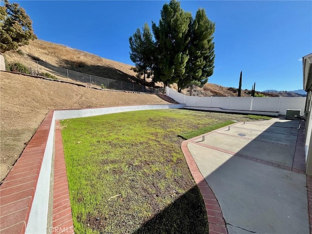 view of yard featuring a patio