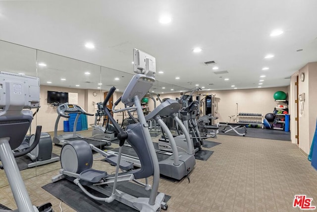 gym featuring light colored carpet