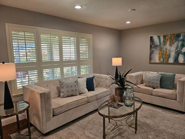 living room with a wealth of natural light