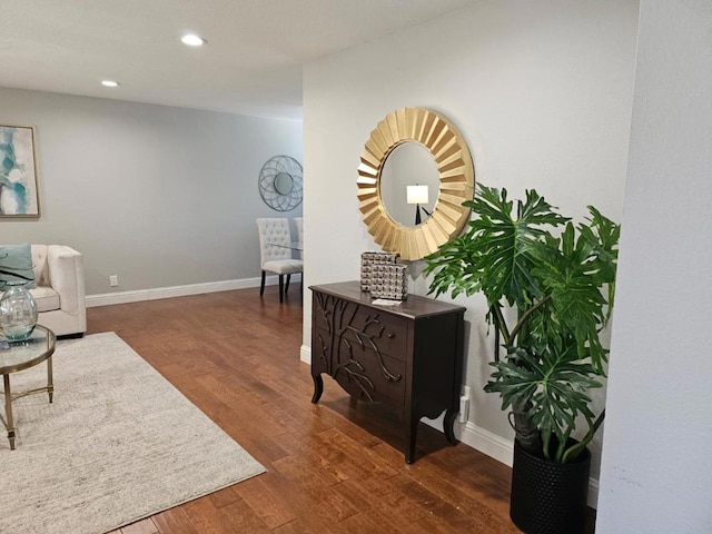 living area with dark wood-type flooring