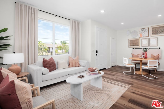 living room with hardwood / wood-style flooring