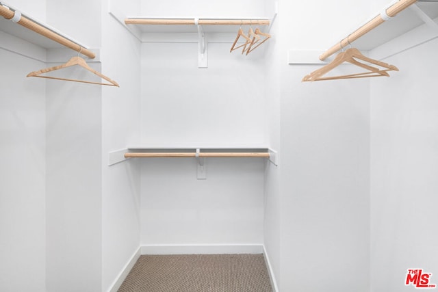 spacious closet featuring carpet flooring