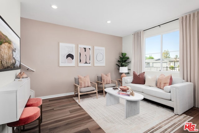 living room featuring dark wood-type flooring