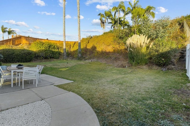 view of yard with a patio area