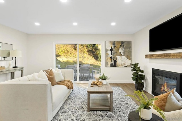 living room featuring light hardwood / wood-style flooring