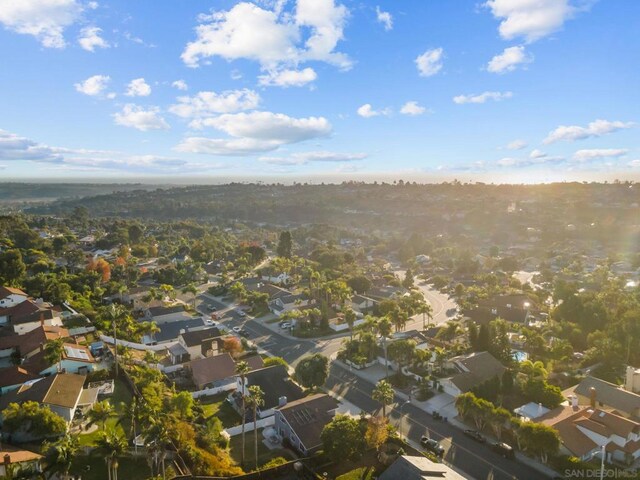 bird's eye view