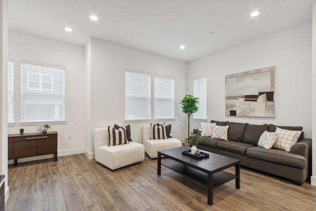 living room featuring light hardwood / wood-style floors