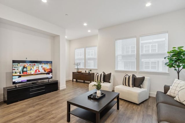 living room featuring wood-type flooring