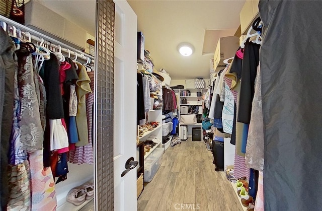 walk in closet with light hardwood / wood-style flooring