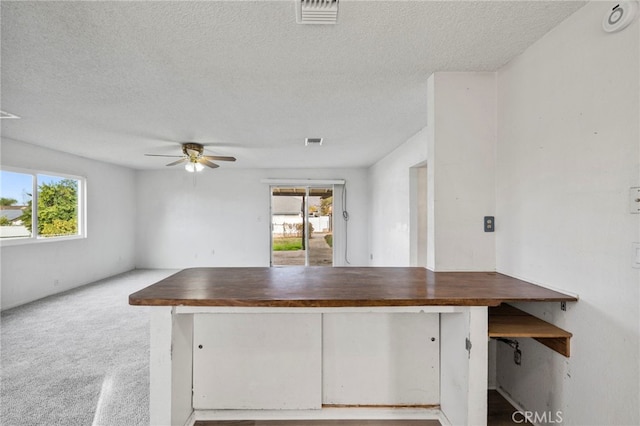 kitchen featuring ceiling fan, a healthy amount of sunlight, wooden counters, and a textured ceiling