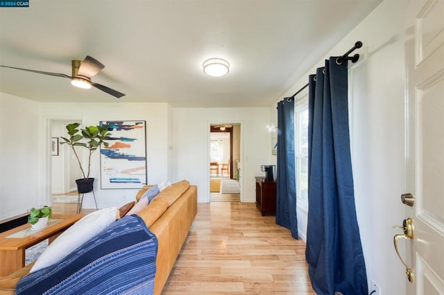 living room featuring ceiling fan and light hardwood / wood-style flooring