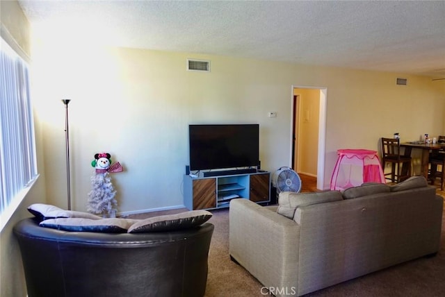 living room featuring carpet floors and a textured ceiling