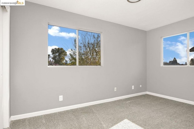 empty room featuring carpet floors