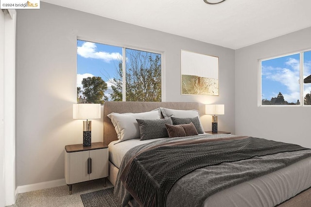 view of carpeted bedroom