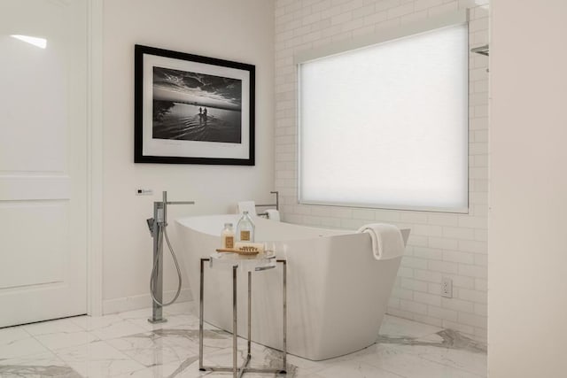 bathroom featuring a washtub