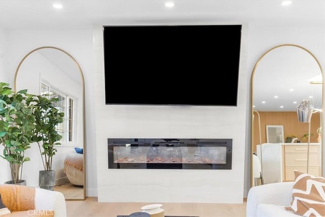 living room with wood-type flooring