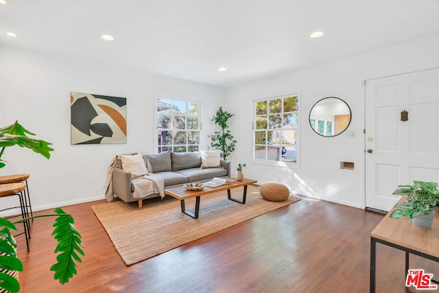 living room featuring dark hardwood / wood-style floors