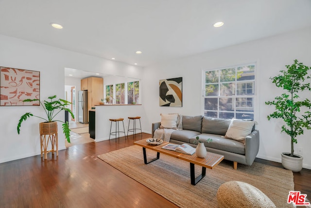 living room with wood-type flooring