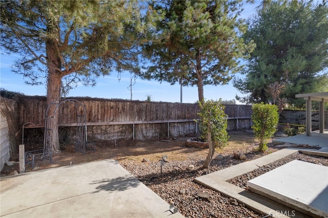 view of yard featuring a patio area