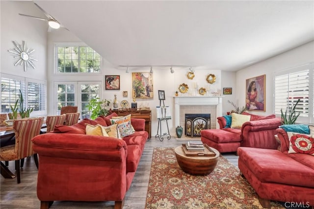 living room featuring a fireplace, a wealth of natural light, hardwood / wood-style floors, and rail lighting