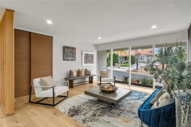 living room featuring light hardwood / wood-style floors