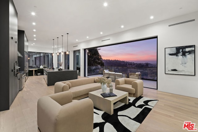 living room featuring light hardwood / wood-style flooring