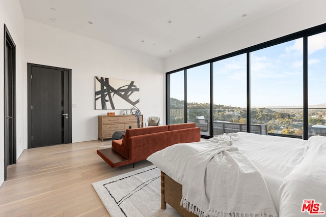 bedroom featuring light hardwood / wood-style floors