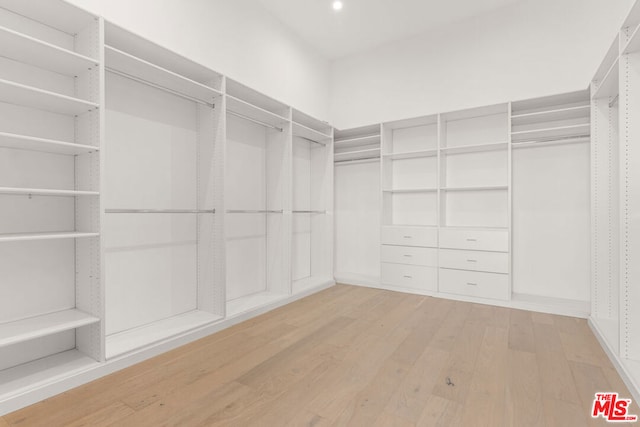 spacious closet with hardwood / wood-style flooring