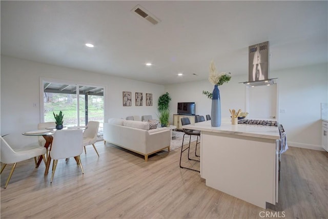 living room with light wood-type flooring