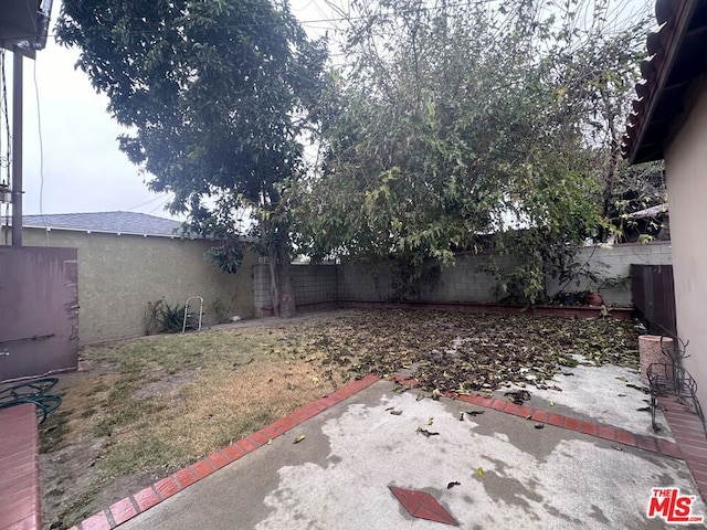 view of yard featuring a patio