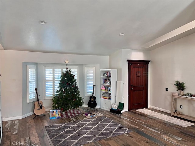 entrance foyer featuring dark wood-type flooring