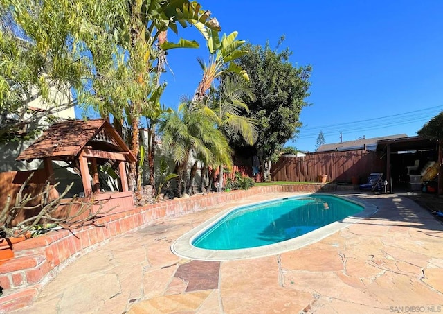 view of swimming pool featuring a patio area