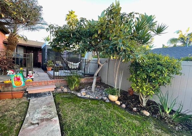 view of yard featuring a patio