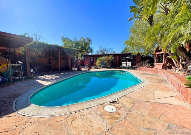 view of pool featuring a patio