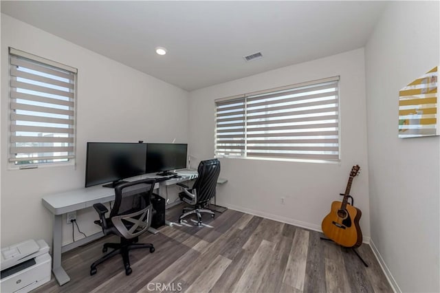 office featuring wood-type flooring