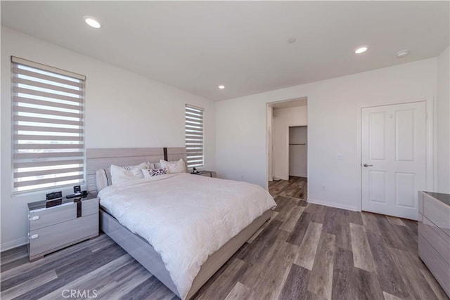 bedroom featuring a spacious closet and wood-type flooring