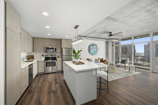 kitchen with decorative light fixtures, dark hardwood / wood-style floors, sink, expansive windows, and appliances with stainless steel finishes